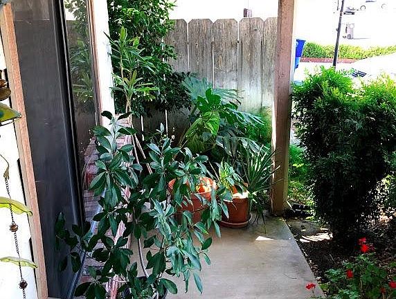 5th image of 314 Wawona St