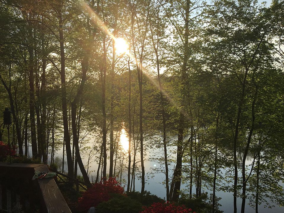 Beautiful View from Deck off Kitchen