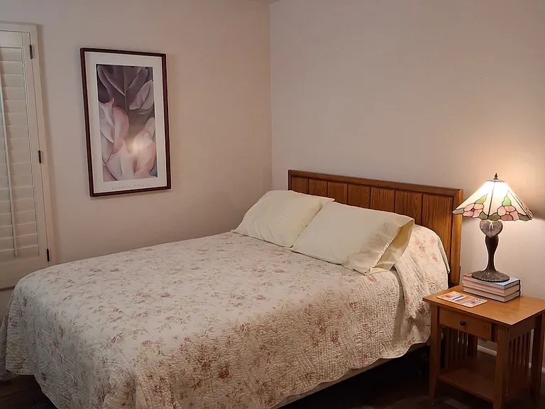 1834 Discovery Village Ln — Photo 4