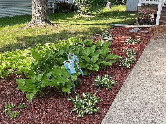 Side garden
