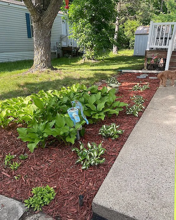 Side garden