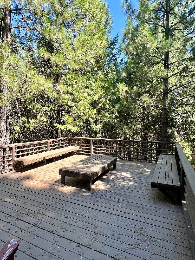 Pioneer Home — Photo 3
