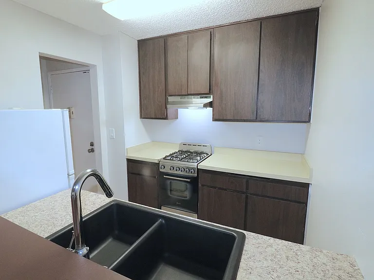 1621 Hotel Cir S #E329 — Photo 4