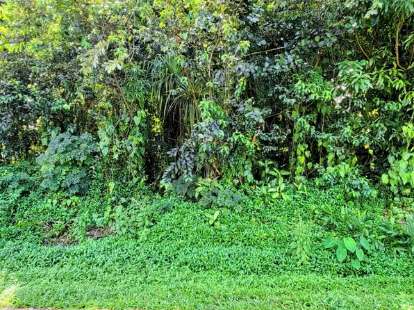 Opae St Lot 24, Pahoa, HI 96778