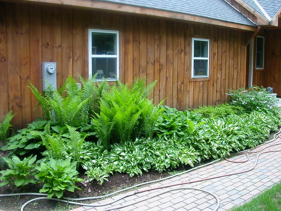 N side of garage/front walk