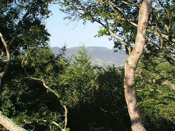 View of Rincon Valley