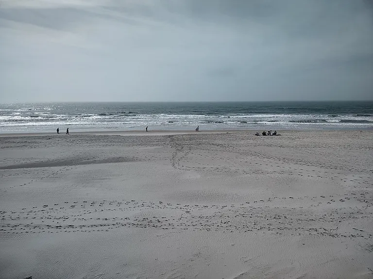 321 Cape Fear Blvd — Photo 13