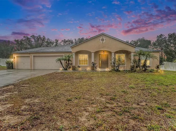 10442 Bloomfield Hills Dr, Seffner, FL 33584