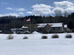 40 Hanson Hollow Rd, Port Allegany, PA 16743