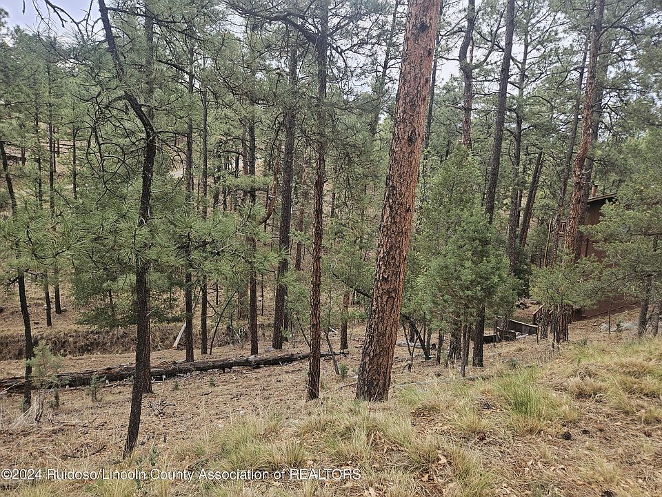 2nd image of 117 Twin Tree Rd