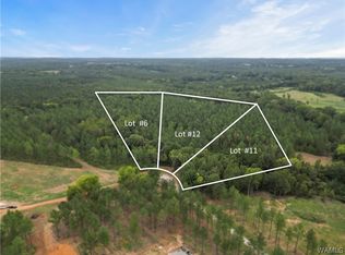 LOT 11 County Road 21, Moundville, AL 35474
