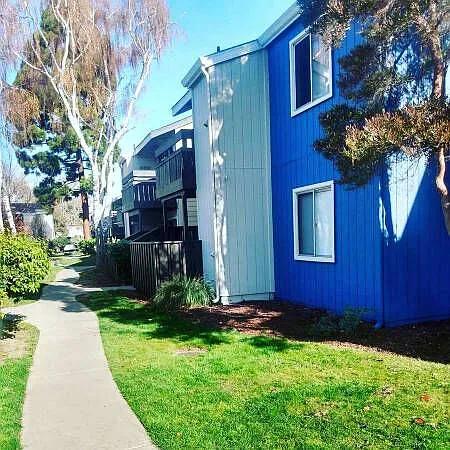 Vista — Photo 15