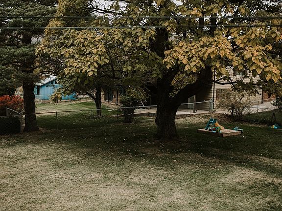 back yard