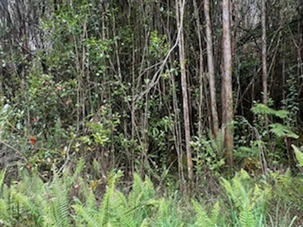Road 5 Lot 311, Volcano, HI 96785