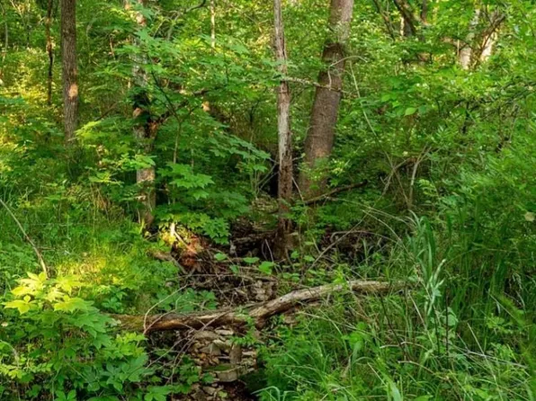 60 Bryants Creek Dr, Elsberry, MO 63343