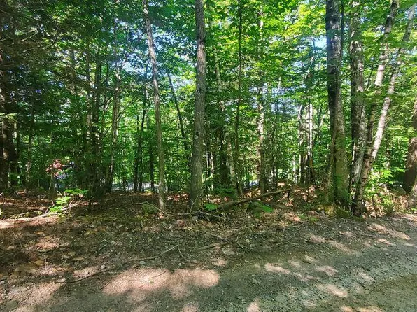 26 Shaw Hill Road, Naples, ME 04055