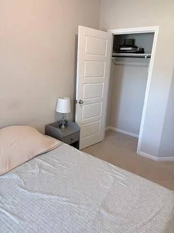 341 Emerald Thicket Ln — Photo 10