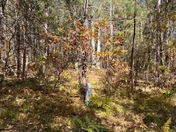 Haskell Heights Dr Lot 4, Lac Du Flambeau, WI 54538