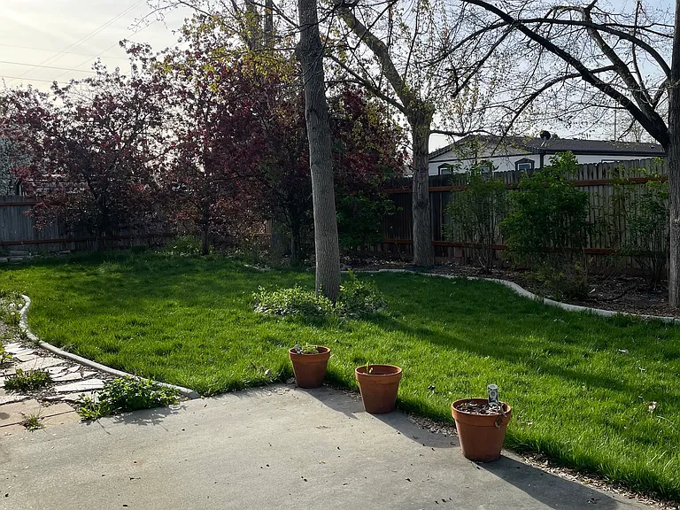 Backyard.