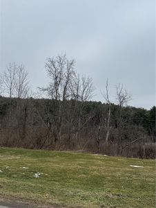 186 Diamond Valley Rd, Barton, NY, 13734