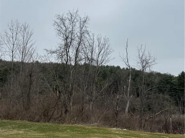 186 Diamond Valley Rd, Barton, NY 13734