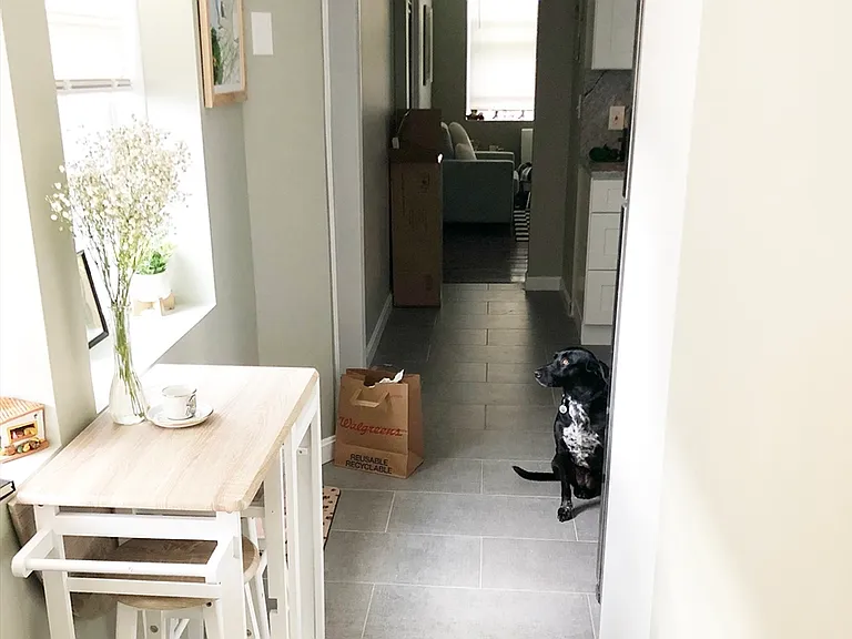 119 Cottage St #4F — Photo 6