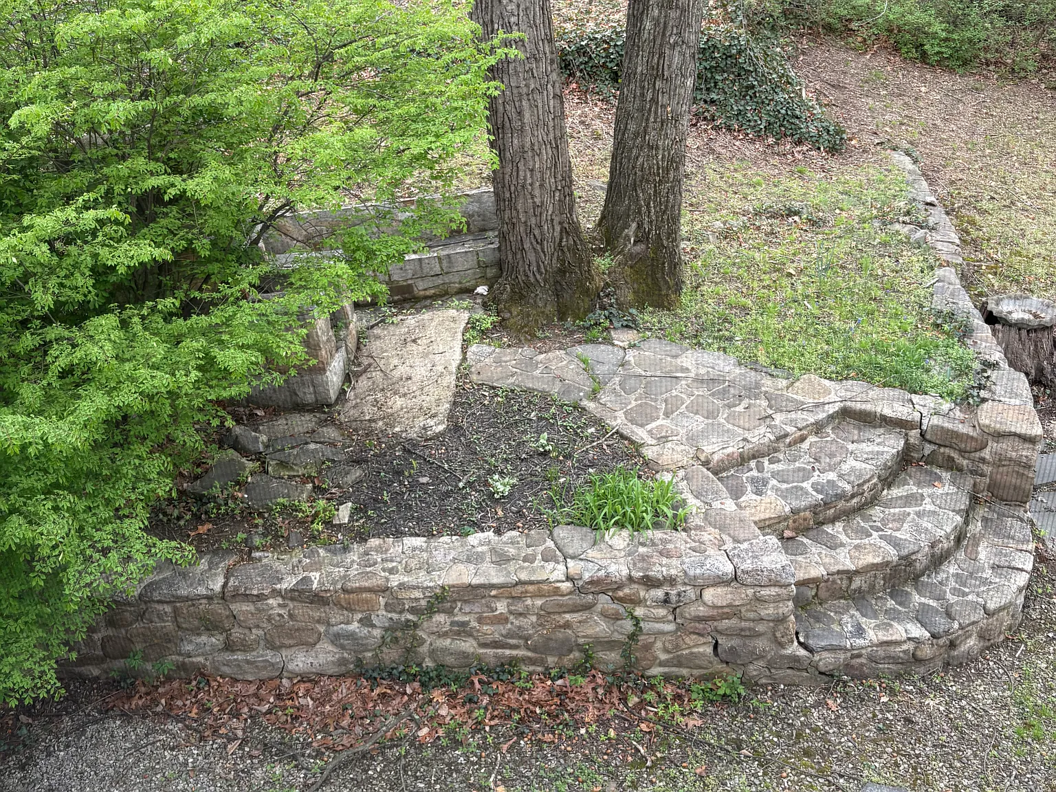 2 bed, 750 sqft, $1,050 — Photo 4