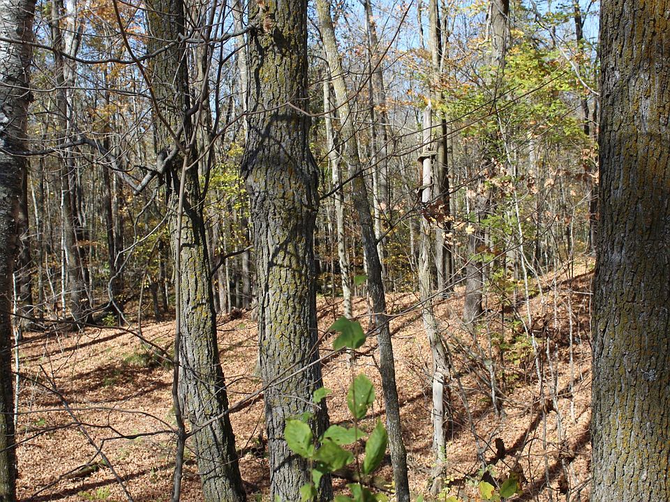1st image of Woods Rd