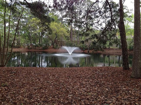 View from patio