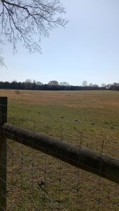 0 Verona Caney Ave Lot 2, Lewisburg, TN, 37091