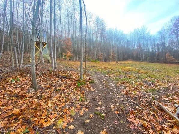 Standing Rock Rd, Kimbolton, OH 43749