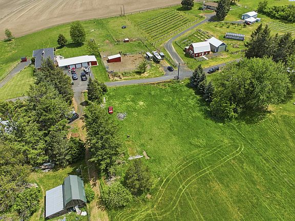 5th image of Butte St
