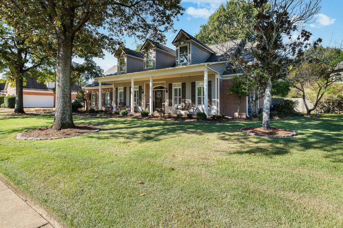 next background image