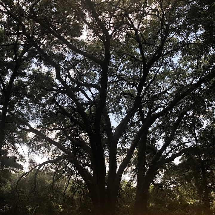 1st image of 1400 NW 154th St Lot 1