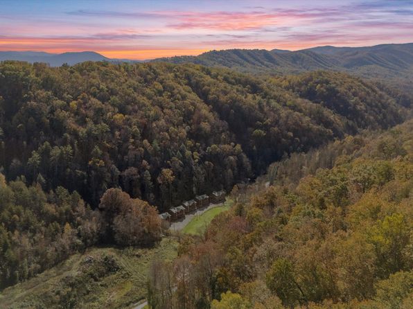 315 Caney Creek Rd, Pigeon Forge, TN 37863