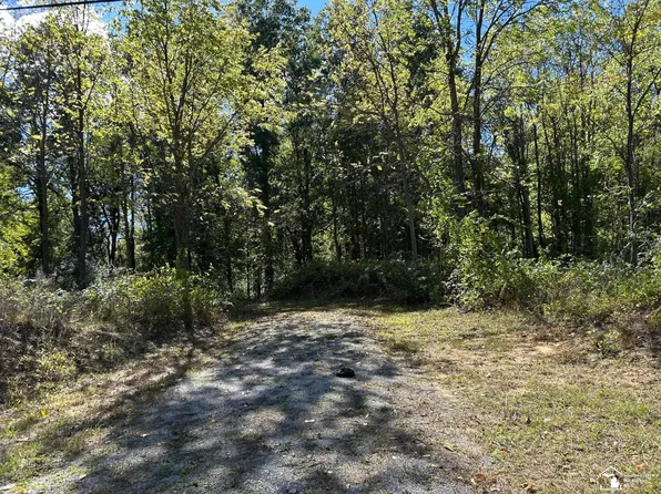 W Rauch Rd, Temperance, MI 48182