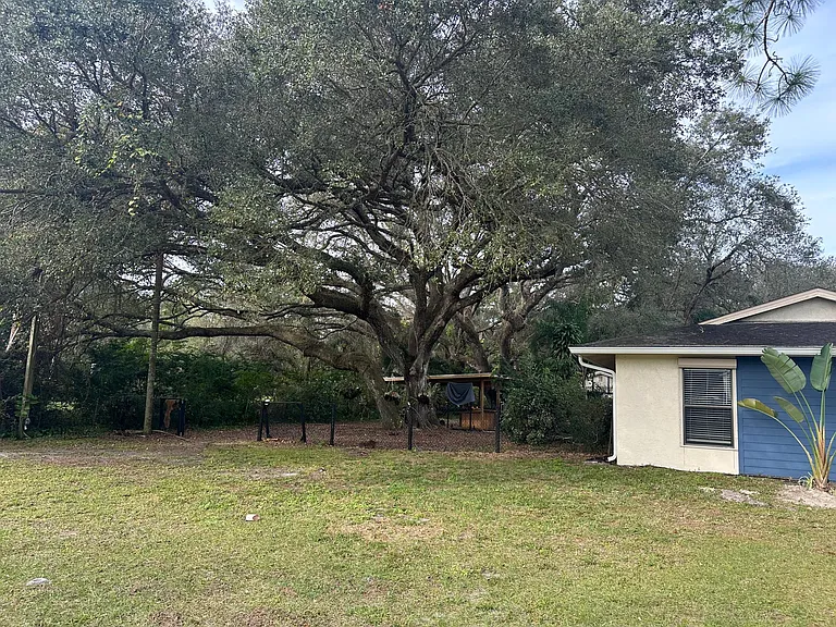 Gorgeous oaks all over!!