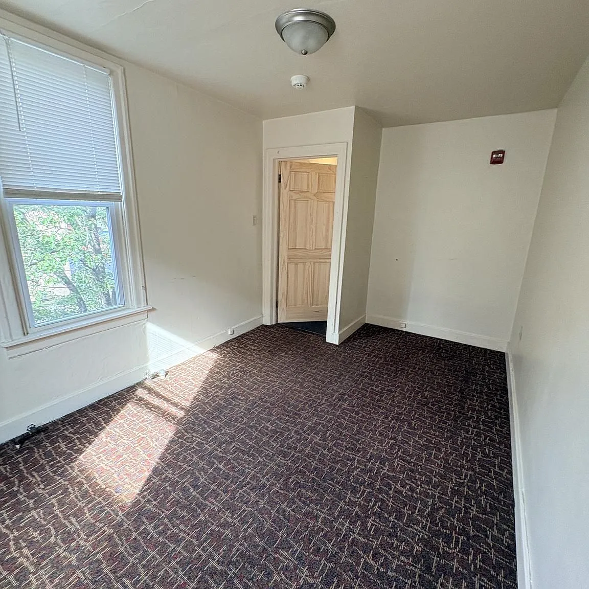 1 bed, 1.0 bath, 3900 sqft, $950 — Photo 3
