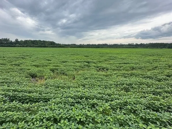 State Highway 53 W, White Oak, NC 28399
