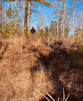Down At the water looking up