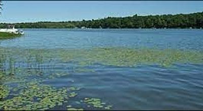 Off Duck Lake Rd, Red Creek, NY, 13143