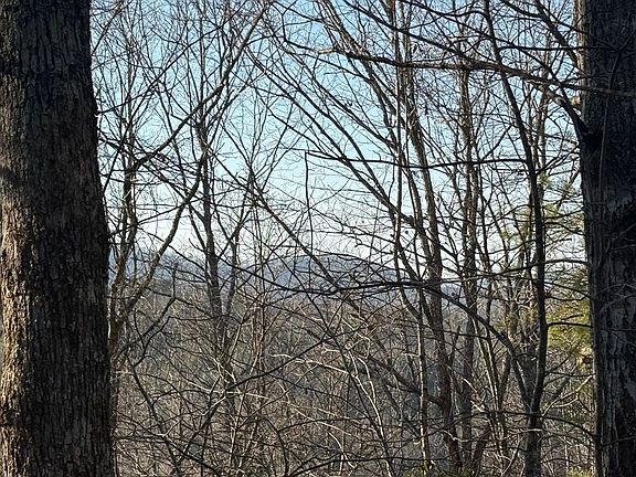 3rd image of LOT 1 Willow Rdg