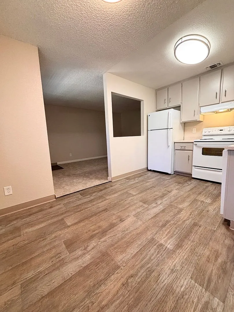 Olive Glen — Photo 3