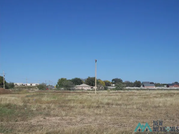 1002 Pistachio Trl, Artesia, NM 88210