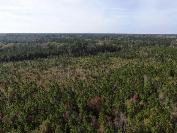 0 Happy Hills Rd, Alapaha, GA 31622