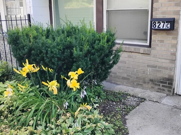 827 E 48th St APT C, Chicago, IL 60615