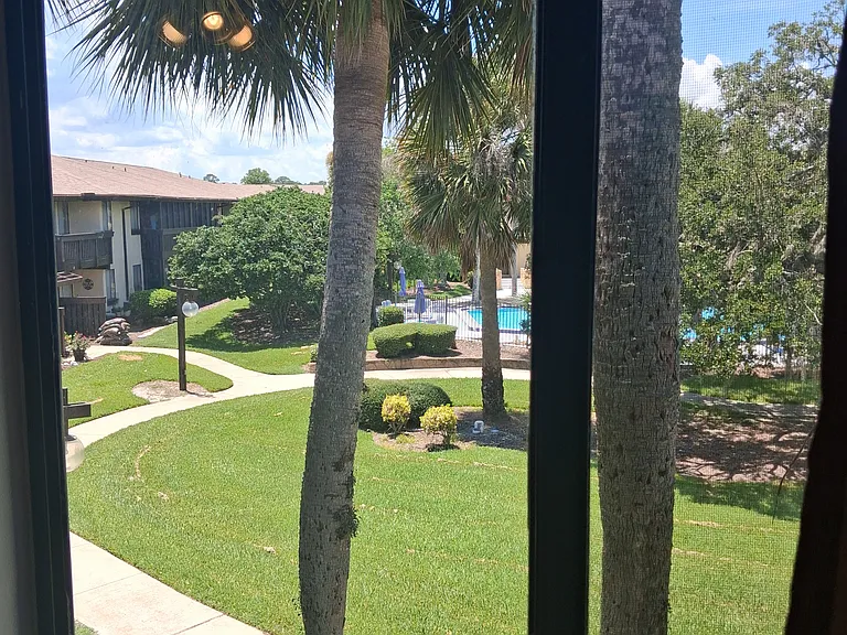 View from guest bedroom.