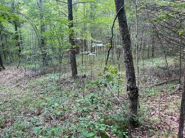 Leonard Ln, Bethel Springs, TN 38315