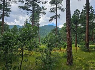 1 Zorn Rd, Rye, CO 81069