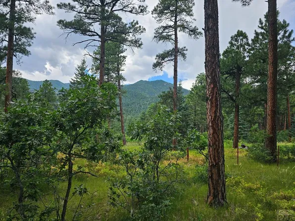 1 Zorn Rd, Rye, CO 81069